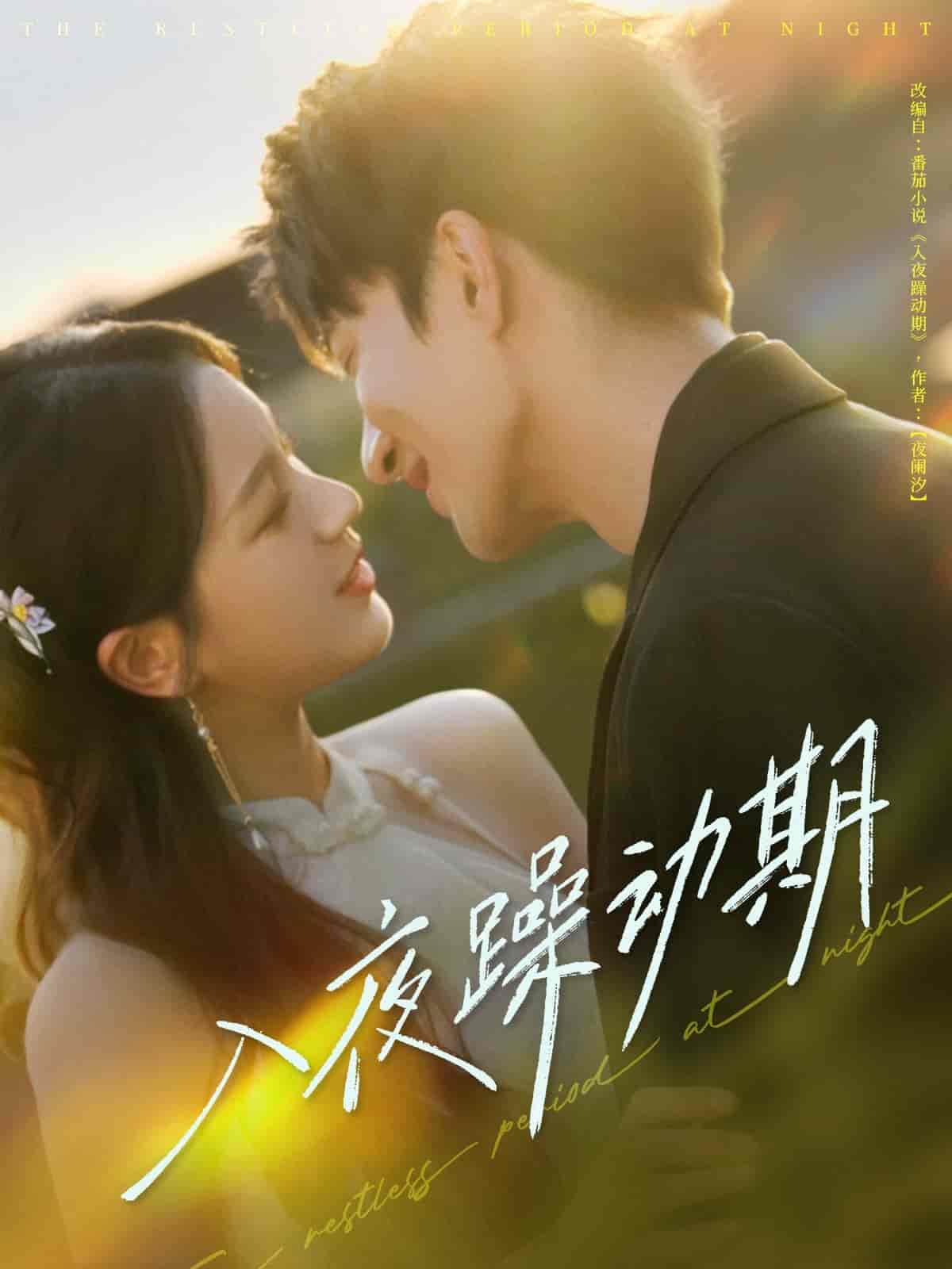 入夜躁动期(全集)