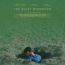 平静的日子(全集)